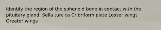 Identify the region of the sphenoid bone in contact with the pituitary gland. Sella turcica Cribriform plate Lesser wings Greater wings