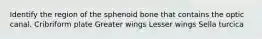 Identify the region of the sphenoid bone that contains the optic canal. Cribriform plate Greater wings Lesser wings Sella turcica