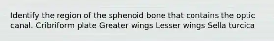 Identify the region of the sphenoid bone that contains the optic canal. Cribriform plate Greater wings Lesser wings Sella turcica