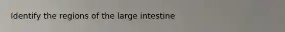 Identify the regions of the large intestine