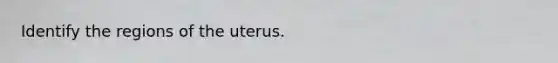 Identify the regions of the uterus.