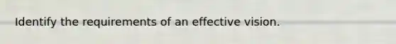 Identify the requirements of an effective vision.