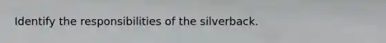 Identify the responsibilities of the silverback.