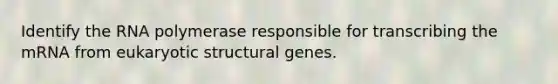 Identify the RNA polymerase responsible for transcribing the mRNA from eukaryotic structural genes.