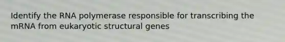 Identify the RNA polymerase responsible for transcribing the mRNA from eukaryotic structural genes