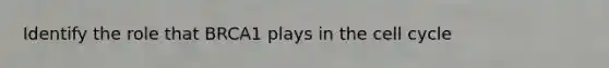 Identify the role that BRCA1 plays in the <a href='https://www.questionai.com/knowledge/keQNMM7c75-cell-cycle' class='anchor-knowledge'>cell cycle</a>