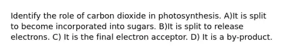 Identify the role of carbon dioxide in photosynthesis. A)It is split to become incorporated into sugars. B)It is split to release electrons. C) It is the final electron acceptor. D) It is a by-product.