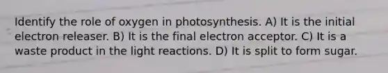 Identify the role of oxygen in photosynthesis. A) It is the initial electron releaser. B) It is the final electron acceptor. C) It is a waste product in the light reactions. D) It is split to form sugar.