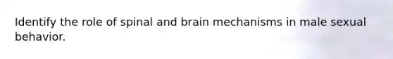 Identify the role of spinal and brain mechanisms in male sexual behavior.