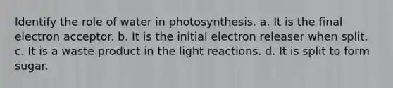 Identify the role of water in photosynthesis. a. It is the final electron acceptor. b. It is the initial electron releaser when split. c. It is a waste product in the light reactions. d. It is split to form sugar.