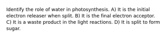 Identify the role of water in photosynthesis. A) It is the initial electron releaser when split. B) It is the final electron acceptor. C) It is a waste product in the light reactions. D) It is split to form sugar.