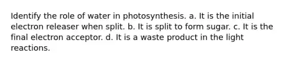 Identify the role of water in photosynthesis. a. It is the initial electron releaser when split. b. It is split to form sugar. c. It is the final electron acceptor. d. It is a waste product in the light reactions.