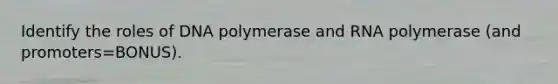 Identify the roles of DNA polymerase and RNA polymerase (and promoters=BONUS).