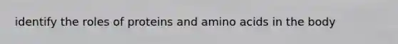 identify the roles of proteins and amino acids in the body