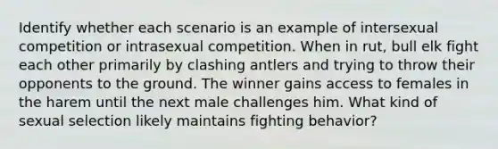 Identify whether each scenario is an example of intersexual competition or intrasexual competition. When in rut, bull elk fight each other primarily by clashing antlers and trying to throw their opponents to the ground. The winner gains access to females in the harem until the next male challenges him. What kind of sexual selection likely maintains fighting behavior?