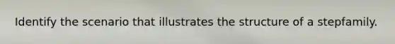 Identify the scenario that illustrates the structure of a stepfamily.