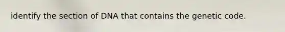 identify the section of DNA that contains the genetic code.
