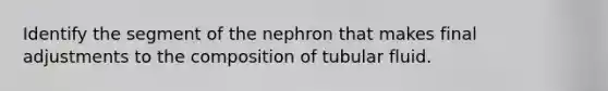 Identify the segment of the nephron that makes final adjustments to the composition of tubular fluid.