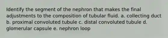 Identify the segment of the nephron that makes the final adjustments to the composition of tubular fluid. a. collecting duct b. proximal convoluted tubule c. distal convoluted tubule d. glomerular capsule e. nephron loop