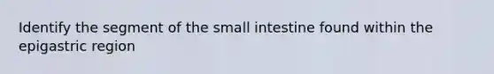 Identify the segment of the small intestine found within the epigastric region