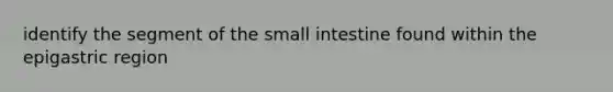 identify the segment of the small intestine found within the epigastric region