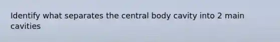 Identify what separates the central body cavity into 2 main cavities