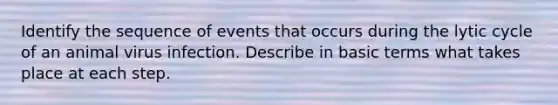 Identify the sequence of events that occurs during the lytic cycle of an animal virus infection. Describe in basic terms what takes place at each step.