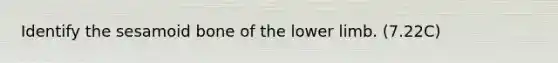 Identify the sesamoid bone of the lower limb. (7.22C)