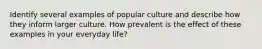 Identify several examples of popular culture and describe how they inform larger culture. How prevalent is the effect of these examples in your everyday life?