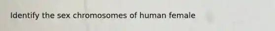 Identify the sex chromosomes of human female