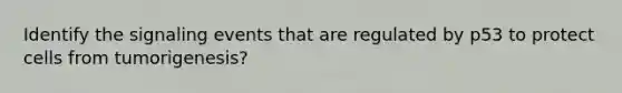 Identify the signaling events that are regulated by p53 to protect cells from tumorigenesis?