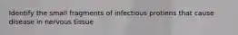 Identify the small fragments of infectious protiens that cause disease in nervous tissue