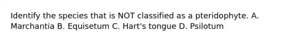 Identify the species that is NOT classified as a pteridophyte. A. Marchantia B. Equisetum C. Hart's tongue D. Psilotum