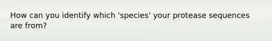 How can you identify which 'species' your protease sequences are from?