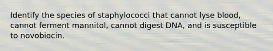 Identify the species of staphylococci that cannot lyse blood, cannot ferment mannitol, cannot digest DNA, and is susceptible to novobiocin.