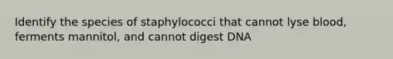 Identify the species of staphylococci that cannot lyse blood, ferments mannitol, and cannot digest DNA