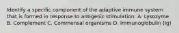 Identify a specific component of the adaptive immune system that is formed in response to antigenic stimulation: A. Lysozyme B. Complement C. Commensal organisms D. Immunoglobulin (Ig)