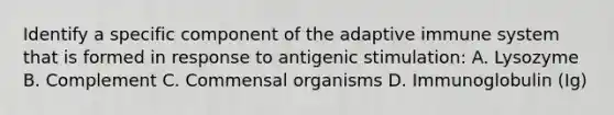 Identify a specific component of the adaptive immune system that is formed in response to antigenic stimulation: A. Lysozyme B. Complement C. Commensal organisms D. Immunoglobulin (Ig)