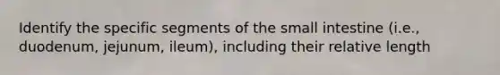 Identify the specific segments of the small intestine (i.e., duodenum, jejunum, ileum), including their relative length