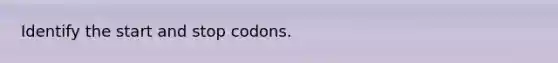 Identify the start and stop codons.