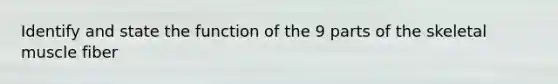 Identify and state the function of the 9 parts of the skeletal muscle fiber