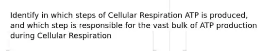 Identify in which steps of Cellular Respiration ATP is produced, and which step is responsible for the vast bulk of <a href='https://www.questionai.com/knowledge/kQXM5vFKbG-atp-production' class='anchor-knowledge'>atp production</a> during Cellular Respiration