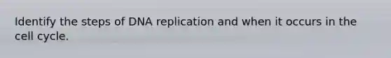 Identify the steps of DNA replication and when it occurs in the cell cycle.