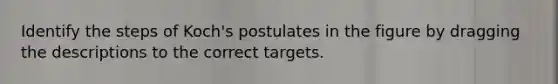 Identify the steps of Koch's postulates in the figure by dragging the descriptions to the correct targets.