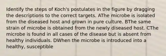 Identify the steps of Koch's postulates in the figure by dragging the descriptions to the correct targets. AThe microbe is isolated from the diseased host and grown in pure culture. BThe same strain of microbe is obtained from the newly diseased host. CThe microbe is found in all cases of the disease but is absent from healthy individuals. DWhen the microbe is introduced into a healthy, susceptible