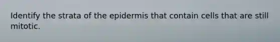 Identify the strata of the epidermis that contain cells that are still mitotic.