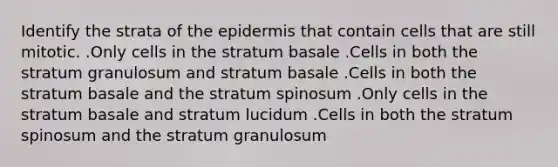 Identify the strata of the epidermis that contain cells that are still mitotic. .Only cells in the stratum basale .Cells in both the stratum granulosum and stratum basale .Cells in both the stratum basale and the stratum spinosum .Only cells in the stratum basale and stratum lucidum .Cells in both the stratum spinosum and the stratum granulosum