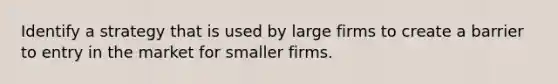 Identify a strategy that is used by large firms to create a barrier to entry in the market for smaller firms.