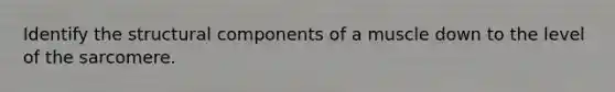 Identify the structural components of a muscle down to the level of the sarcomere.