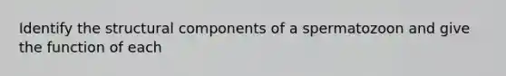 Identify the structural components of a spermatozoon and give the function of each